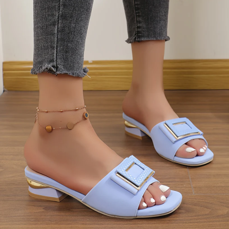 Dezsino.com Women's Elegant Chunky Heel Slide Sandals